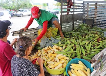 Preço da mão de milho em João Pessoa varia até R$ 30; consumidor pode economizar